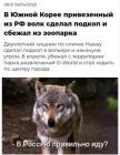 Прикрепленное изображение: 1775808428.jpg