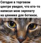 Прикрепленное изображение: Зарплата на ценнике.jpg