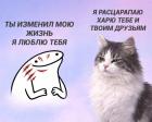Прикрепленное изображение: Котик расцарапает харю.jpg