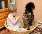 Прикрепленное изображение: Котик смотрит матом.jpg