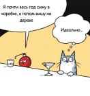 Прикрепленное изображение: Котик с шариком.jpg