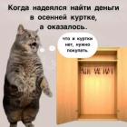 Прикрепленное изображение: Деньги в осенней куртке.jpg