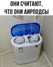Прикрепленное изображение: Котики - аирподсы.jpg