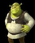 Прикрепленное изображение: shrek.jpg