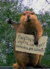 Прикрепленное изображение: x_9b434ca8.jpg