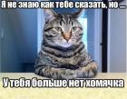Прикрепленное изображение: dfV7PXzBE24.jpg