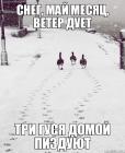 Прикрепленное изображение: Гуси GTsYrOC1Bxk.jpg
