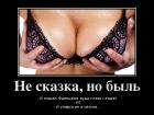 Прикрепленное изображение: image.jpg