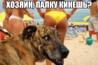 Прикрепленное изображение: X9laYD4c6QU.jpg