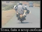 Прикрепленное изображение: байк.jpg