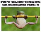 Прикрепленное изображение: BvYRFtN7jag.jpg