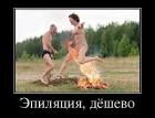 Прикрепленное изображение: image.jpeg