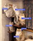 Прикрепленное изображение: TXWd8_NnygM.jpg