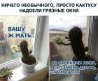 Прикрепленное изображение: 1590743949.jpg