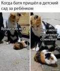 Прикрепленное изображение: 1590057987.jpg