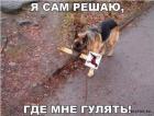 Прикрепленное изображение: 1589447072.jpg