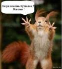 Прикрепленное изображение: 1588663450.jpg