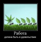 Прикрепленное изображение: C__Data_Users_DefApps_AppData_INTERNETEXPLORER_Temp_Saved Images_1367358560_prikoly-na-pervomay-15.jpg