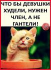 Прикрепленное изображение: 1PZVHfnwHUo.jpg