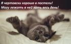 Прикрепленное изображение: TkcpV22MUz8.jpg