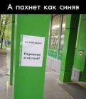 Прикрепленное изображение: 179382867_3816610878408467_4945378506097475998_n.jpg