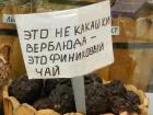 Прикрепленное изображение: 184275546_1141040106364938_3716429143860793948_n.jpg