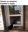 Прикрепленное изображение: C8m9xWEZMJQ.jpg