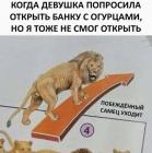 Прикрепленное изображение: photo_2021-04-26_01-47-49.jpg