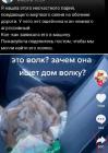 Прикрепленное изображение: Женщина нашла волка.jpg