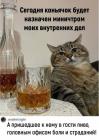 Прикрепленное изображение: 284300990_3893862480738270_1309621492875506075_n.jpg