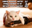 Прикрепленное изображение: j9DYTxPvhKLg-zy9RZgQeXQ_mMZuKOmpSVe1PYeOlMSScB4rjHYt1x5vy5qyKgJuofBTxjCy.jpg