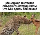 Прикрепленное изображение: 1683614927.jpg