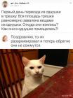 Прикрепленное изображение: 1683103295.jpg
