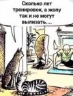 Прикрепленное изображение: 1684570054.jpg