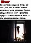 Прикрепленное изображение: Котейка в Царство Божие.jpg