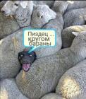 Прикрепленное изображение: IMG_20240402_173357_600.jpg