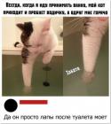 Прикрепленное изображение: 1714382565.jpg