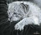 Прикрепленное изображение: dtrsSHJr6po.jpg