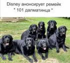 Прикрепленное изображение: 1714633748.jpg