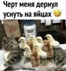 Прикрепленное изображение: 1714727625.jpg