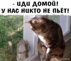 Прикрепленное изображение: 1714811255.jpg