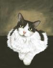 Прикрепленное изображение: fluffy-cat-anastasiya-malakhova.jpg