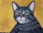 Прикрепленное изображение: cool-cat-anastasiya-malakhova.jpg