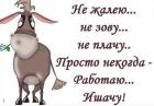 Прикрепленное изображение: Не жалею не зову.jpg
