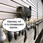 Прикрепленное изображение: 1778117651.jpg
