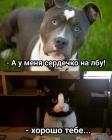 Прикрепленное изображение: smeshnye-kartinki_42069.jpg