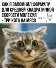 Прикрепленное изображение: 1777707357.jpg