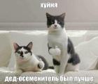Прикрепленное изображение: kdg.jpg