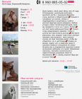 Прикрепленное изображение: Снимок.PNG