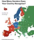 Прикрепленное изображение: количество гендеров.jpg